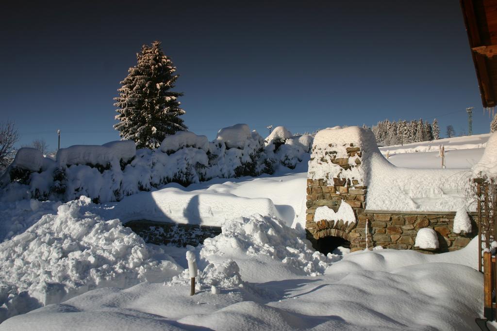 B&B Na Kopecku Rokytnice nad Jizerou Luaran gambar