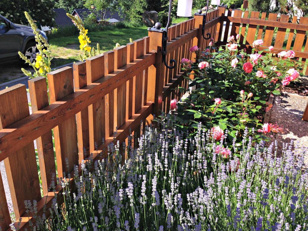 B&B Na Kopecku Rokytnice nad Jizerou Luaran gambar